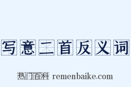 写意二首反义词是什么意思的图片
